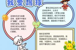 开云体育官网-足球文化艺术节目持续推出精彩内容