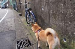 开云平台-布鲁诺之夜，F1新赛季揭幕战，他用实力让世界记住自己的名字