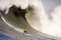 开云体育平台APP-霍勒迪关键回合不手软，凯尔特人末节发力收割吉林队