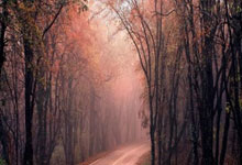 开云官方app入口-快船碾压凯尔特人，哈登带队取胜