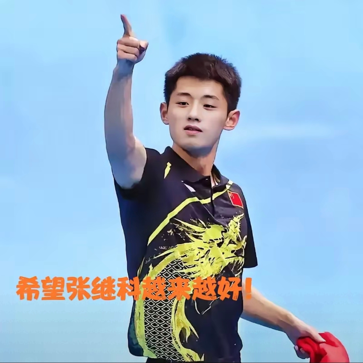 关于德国乒乓球队血洗法国乒乓球队，张继科绝境逆转的信息