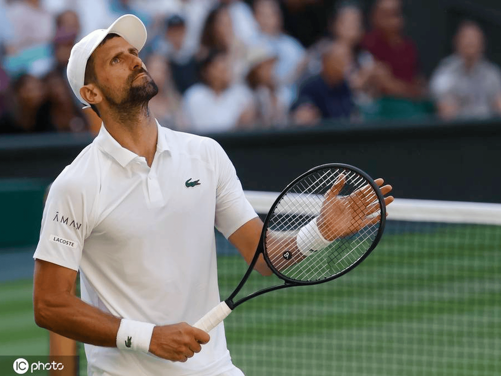 包含英国网球队爆冷西班牙网球队，德约科维奇完成帽子戏法的词条