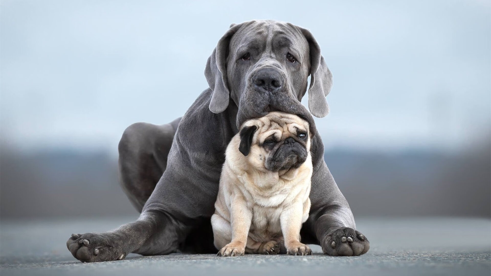 哥斯达黎加式坚韧终结皇家社会神话，托尼·克罗斯化身关键先生