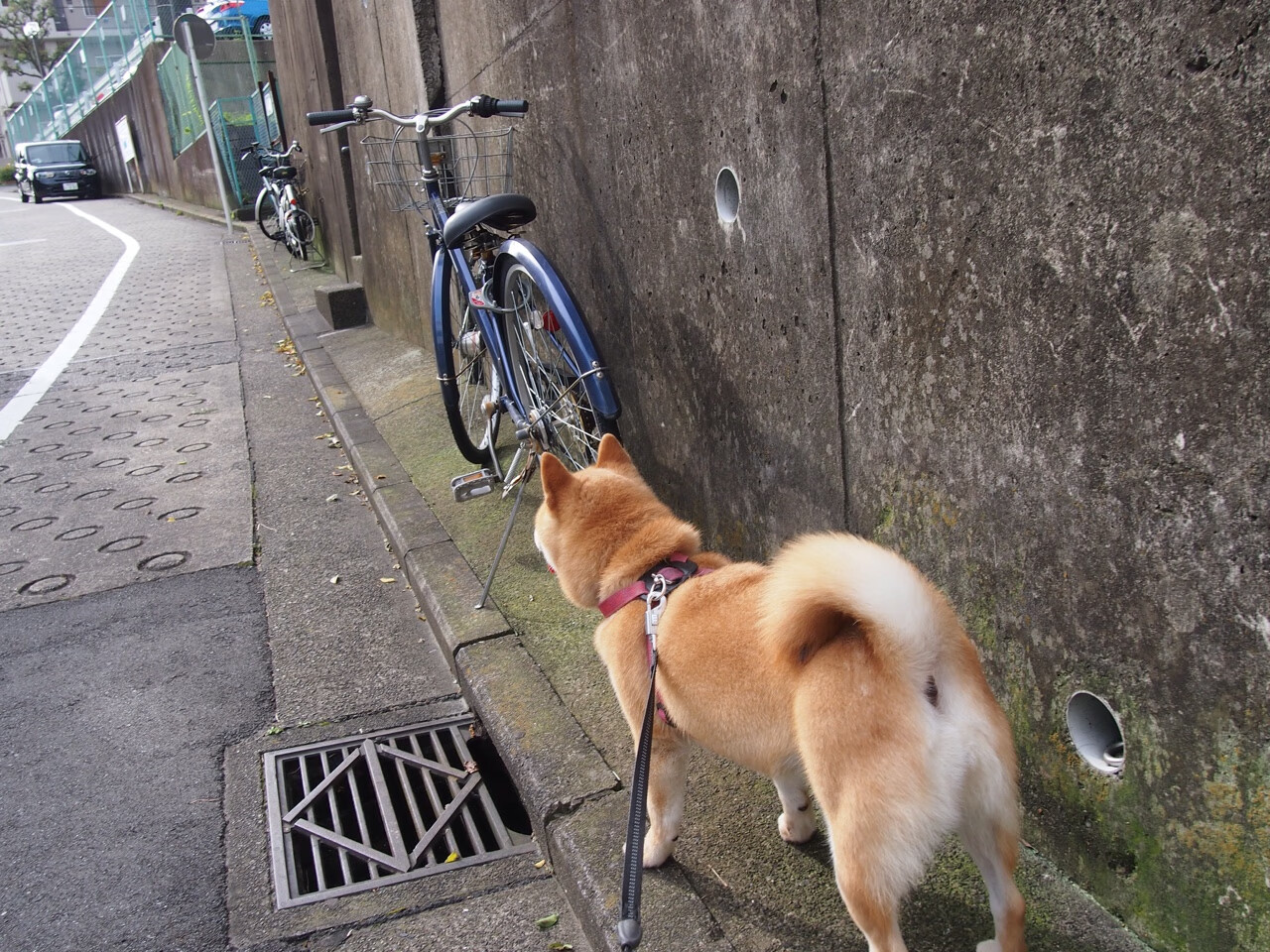 萨拉赫式爆发,土耳其的火力压制如何重塑东地中海战略格局