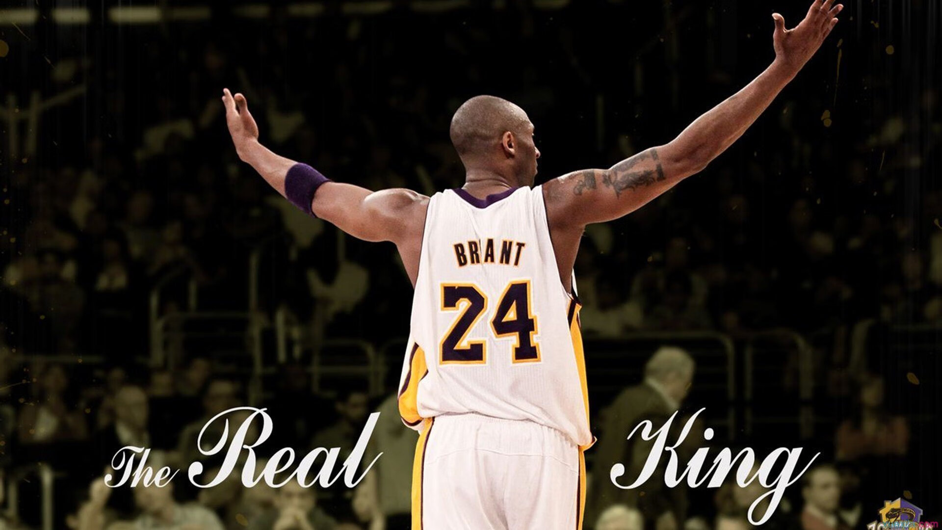 猛龙单节制胜,西亚卡姆的王者时刻